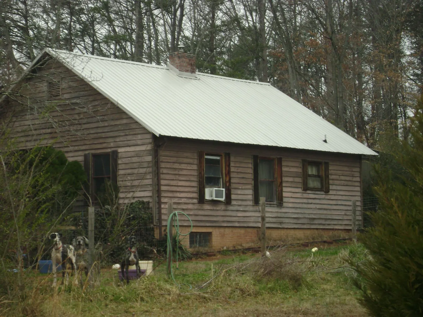 White metal roof on an old wood sided farmhouse, from a Metal Roof Installation job in Hartsel